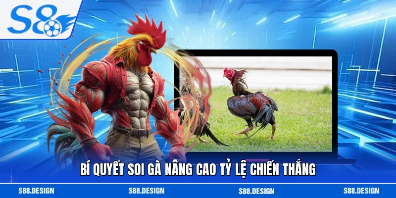 Bí quyết soi gà nâng cao tỷ lệ chiến thắng
