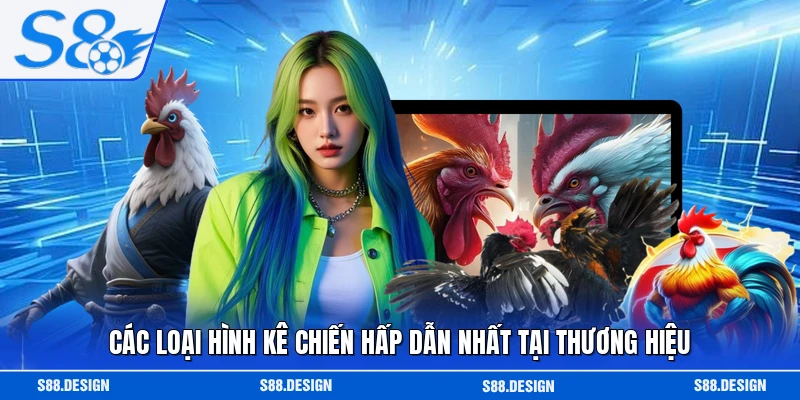 Các loại hình kê chiến hấp dẫn nhất tại thương hiệu 