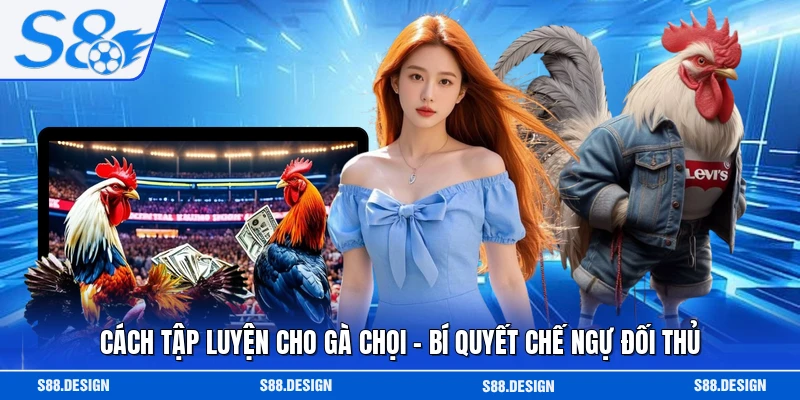 Cách Tập Luyện Cho Gà Chọi - Bí Quyết Chế Ngự Đối Thủ