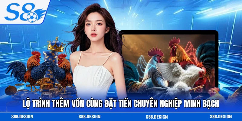 Lộ trình thêm vốn cùng đặt tiền chuyên nghiệp minh bạch
