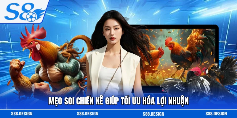Mẹo soi chiến kê giúp tối ưu hóa lợi nhuận
