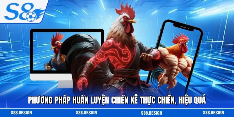 Phương pháp huấn luyện chiến kê thực chiến, hiệu quả 