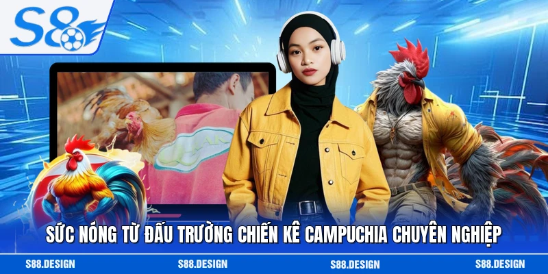Sức nóng từ đấu trường chiến kê Campuchia chuyên nghiệp