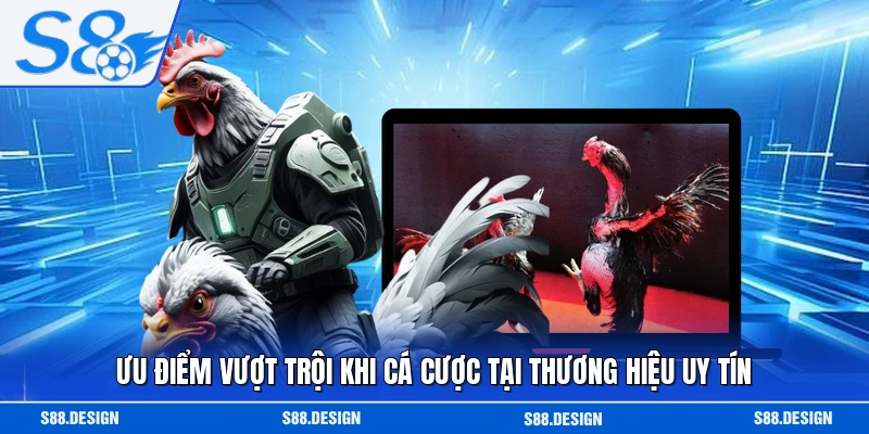 Ưu điểm vượt trội khi cá cược tại thương hiệu uy tín 